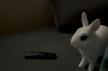 Question here, i was wondering what does it mean when my bunny licks my clothing on me he also wiggles his tail 🤔 what could it possibly mean?