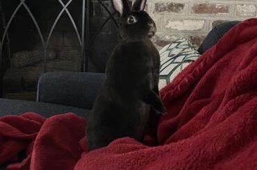 Who opened that door?