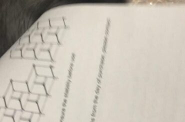 Me just trying to build cubbies for me and him, and him taking that personally 🤣😅