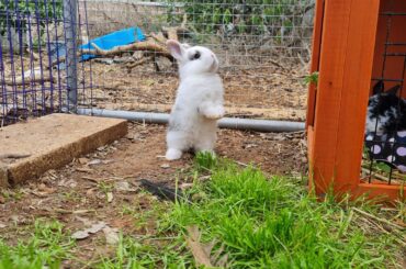 Baby learning to balance herself