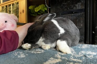 It’s like he has no bones lol