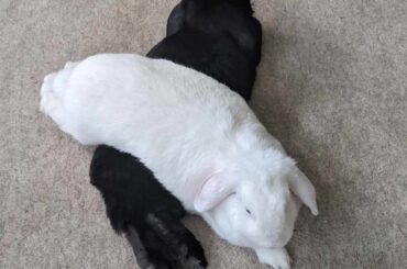 They just need to be as close to each other as possible