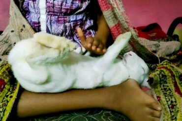 Funny and cute baby bunny videos, very funny rabbit video,,