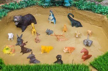 Big Black Bear Cute Cow Rabbit Wild Animals Zoo Animals Stuck in Mud | Dinosaurs Tiger Kangaroo