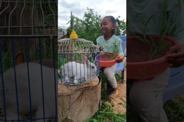 Satah is feeding some rabbits #shorts #baby #otter #bird #dog #cutebaby #bunny #rabbit