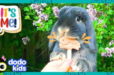Speedy Rabbit Zooms, Booms, And SOARS! | Dodo Kids | It’s Me!