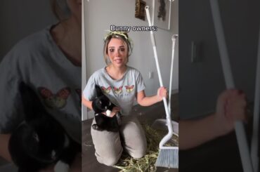 Bunny owners vs non bunny owners #rabbit #bunny #hay