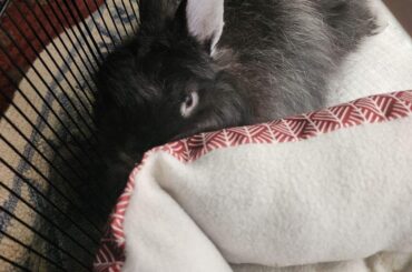 I prefer behind the bed and not on it dad!