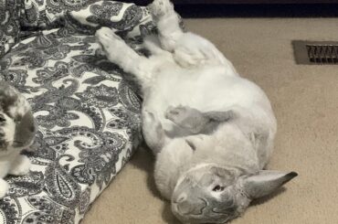 Definitely meant to to do that