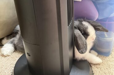 new coziest spot in the house