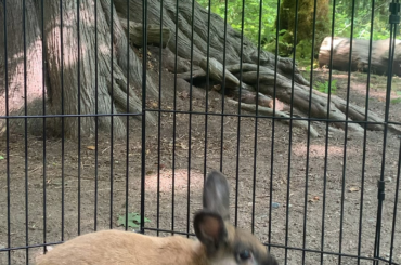 A beautiful baby boy