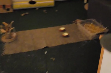 This is her favorite spot, because why not?