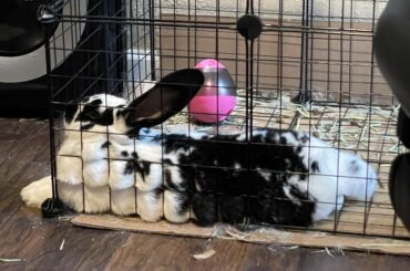 Every day I question whether her brain cells could be counted on two hands or one