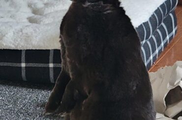 When you’re playing music in the other room but it’s dinner time…