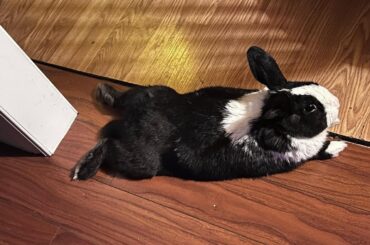 I’m so glad I found this place!