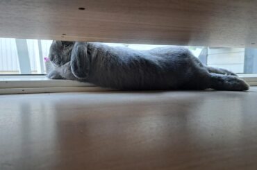 Buncomfortable afternoon chill next to the window