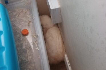 Just spent 10 minutes looking for this little shit