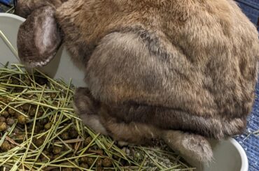 One foot in, one foot out