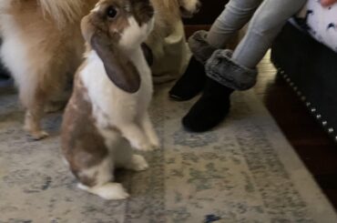 Carol Baskin also wants a dog treat