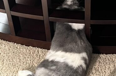 What an interesting way to rest