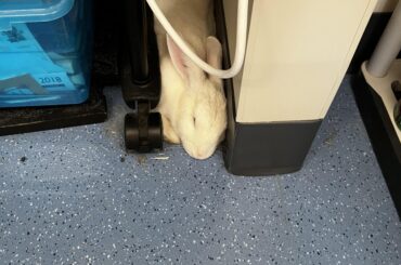 Tight spot > comfy bed