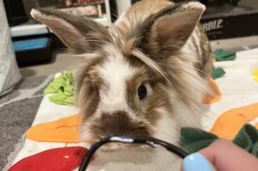 The art and the artist