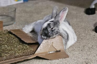 Looks like a great place to rest 😅