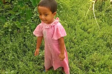 Funny and Cute Baby Bunny Rabbit Videos - Baby Animal Video Compilation - Funny Baby Rabbit Videos