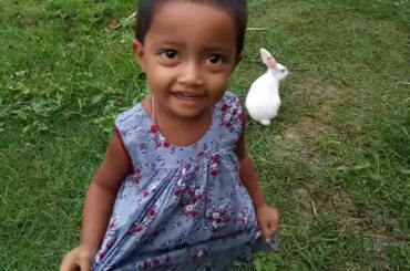 Funny and Cute Baby Bunny Rabbit Videos - Baby Animal Video Compilation - Funny Baby Rabbit Videos