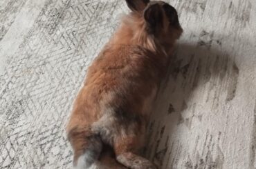 No stress after move out