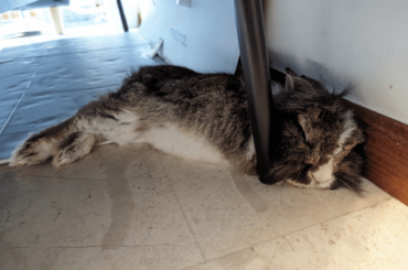 Way too buncomfortable