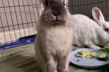 “u got games on ur phone??”