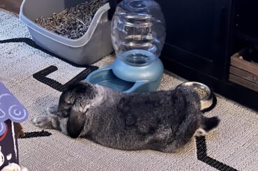 He’s back at it you guys