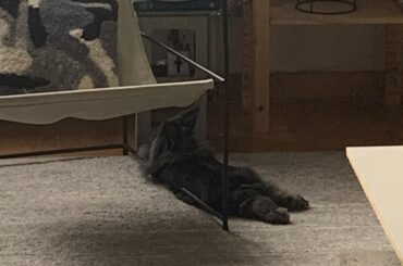 This noodle looks like she’s levitating