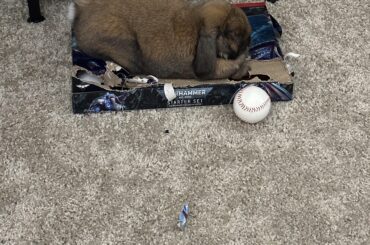 Guess she likes 40K as much as me