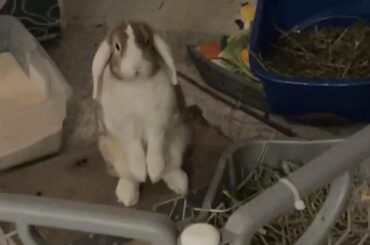 he just kinda,,,, stands