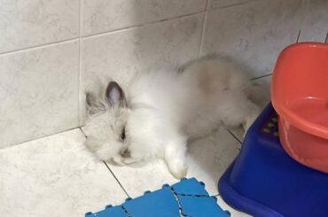 Bathroom Buncomfortable