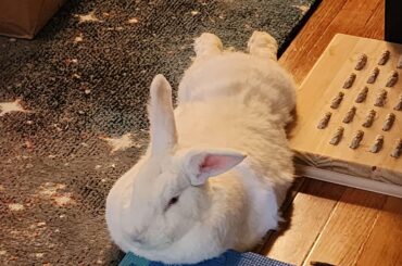Feet under the mat is most comfy