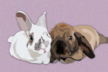 Hi! I'm making digital pet designs for just 10usd to pay for my college, I'd really appreciate it if you'd like 1 :)