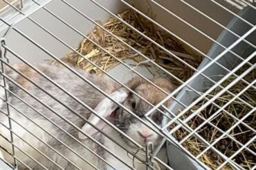 He drank a little too much last night and fell asleep with his face on his toilet seat