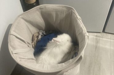 you do you, twizzle. you do you.