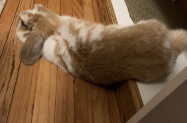 Simply chose to sleep like this.