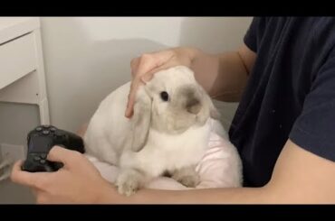 Sassy bunny show you how to cuddle