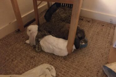 It’s 31 degrees C outside and this is happening