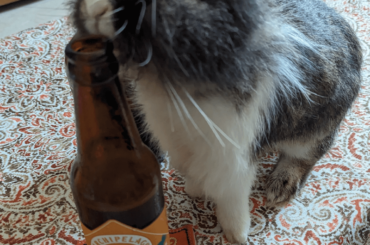 I don't even know why I have table.