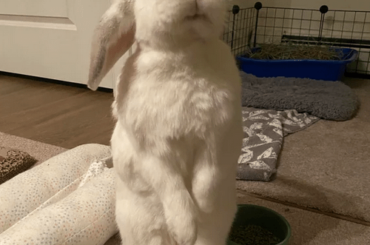 I love Conway’s smile.