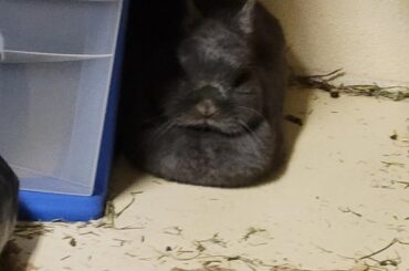 when you are a loaf of bread but then you revert to unrisen dough