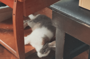 The best pillow is no pillow