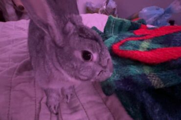 she is shaming all of you