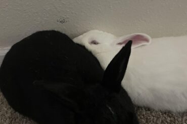 Squished between the wall and her sister